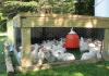 Raising broilers at home - the secrets of a giant carcass